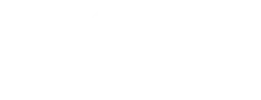 yanko design